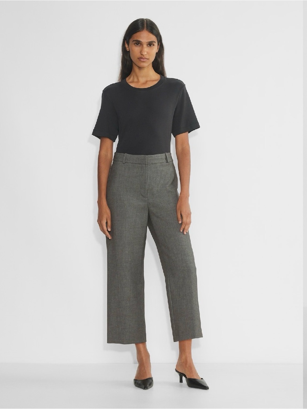 Babaton Cropped Agency Wide-Leg Pants in Charcoal